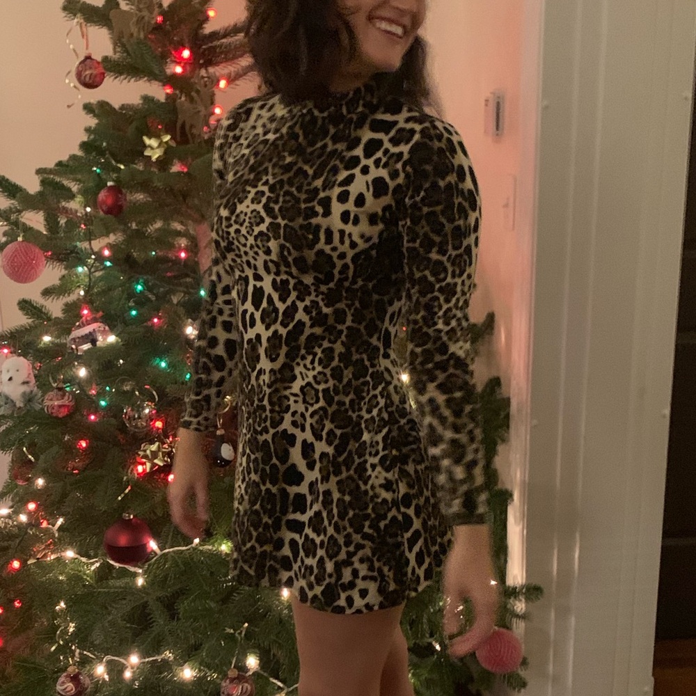 Reformation Flash Dress in Kinga (Leopard print)